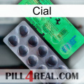 Cial new04
